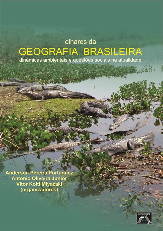 Olhares da Geografia Brasileira